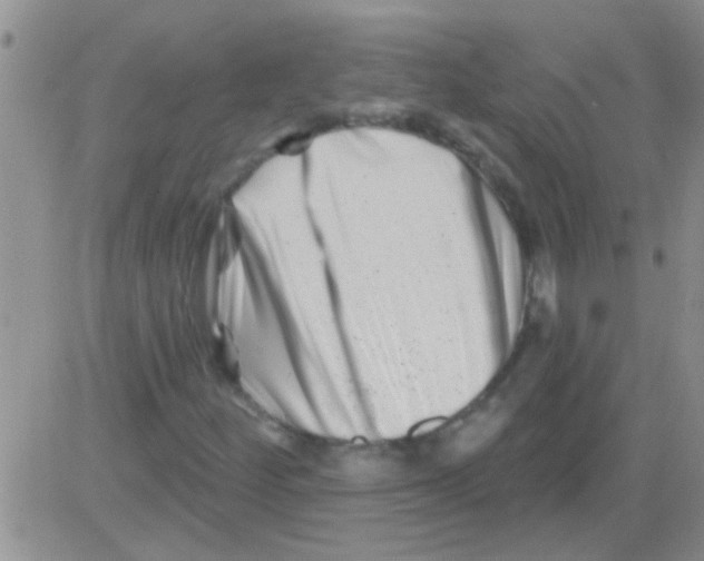 X0000082711252200702232247