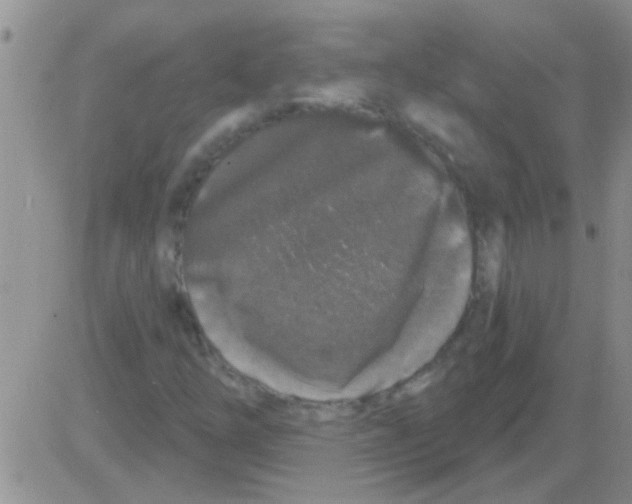 X0000082711254200702232247