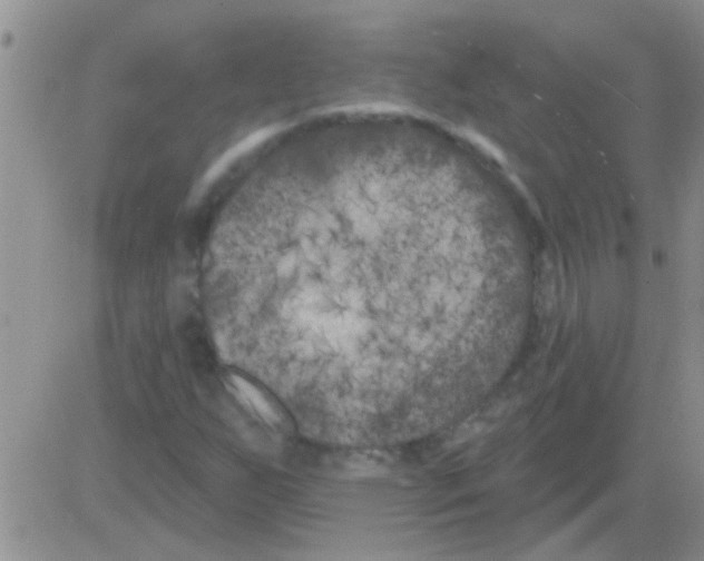 X0000082711255200702232247