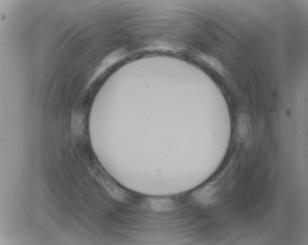 X0000082711258200702232247