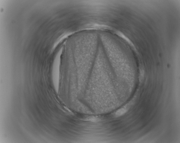 X0000082711259200702232247