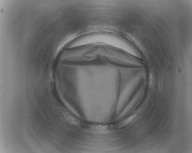 X0000082711261200702232247