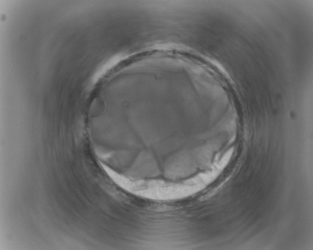 X0000082711263200702232247