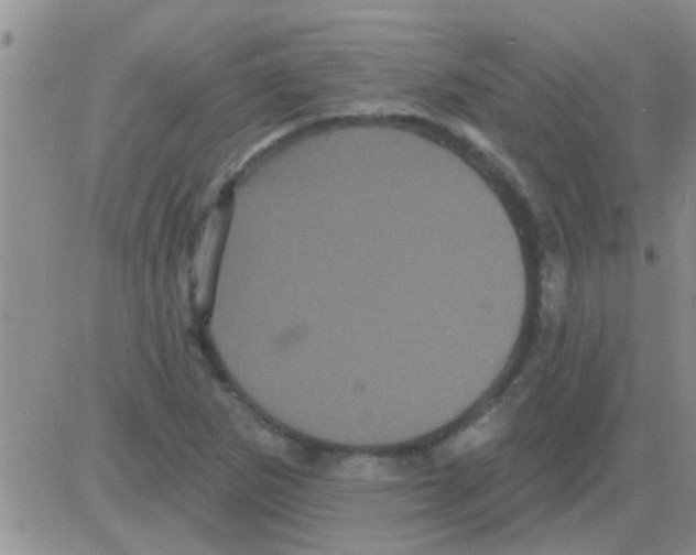 X0000082711265200702232247