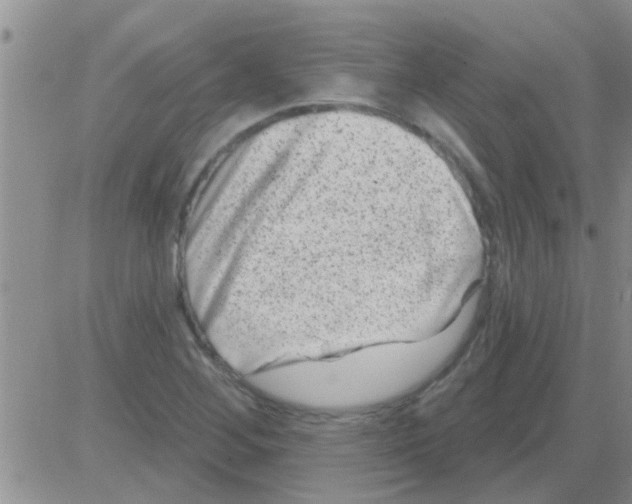 X0000082711268200702232247