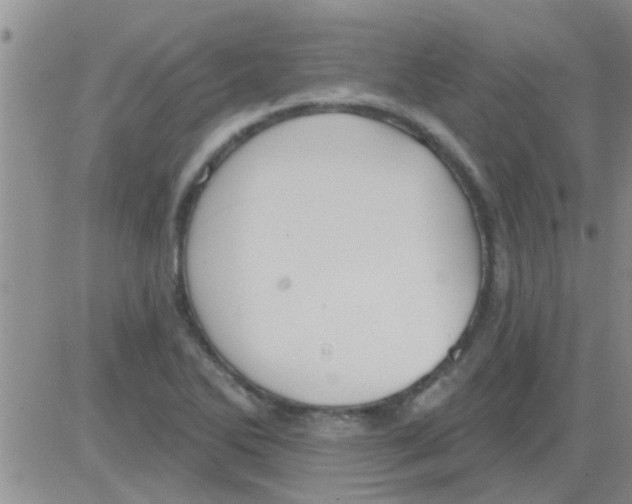 X0000082711270200702232247