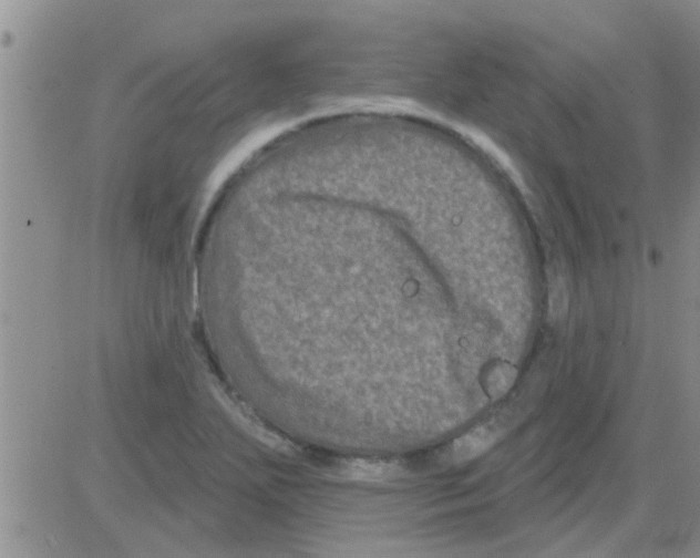 X0000082711271200702232247