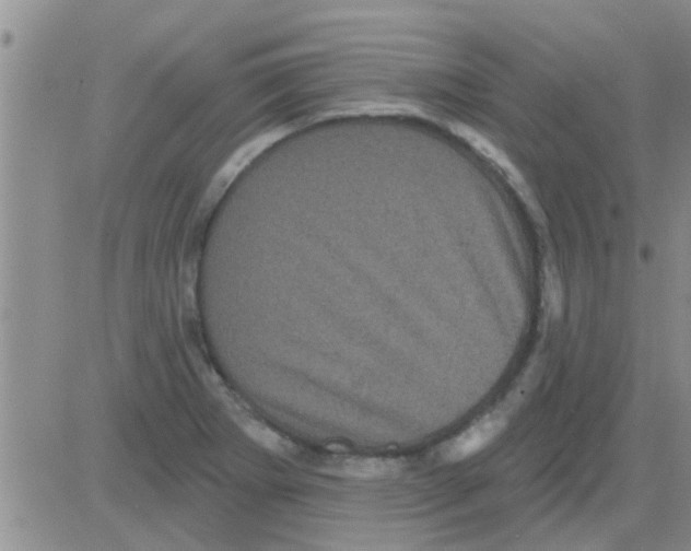 X0000082711273200702232247