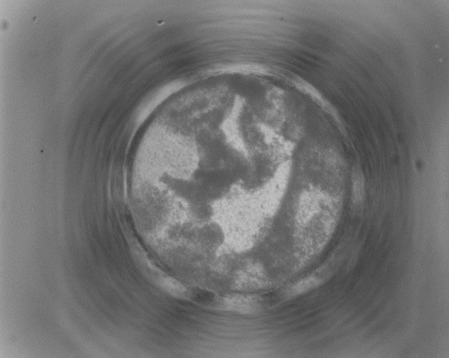 X0000082711274200702232246