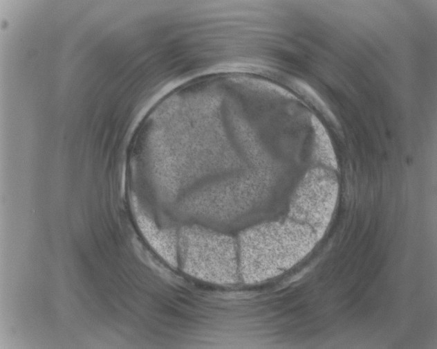 X0000082711276200702232246