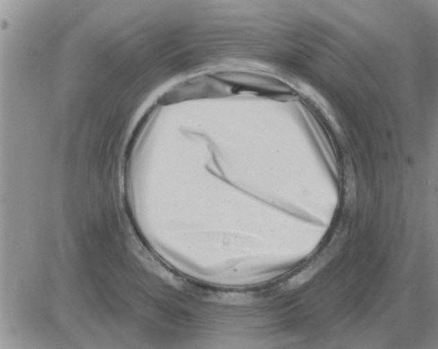 X0000082711280200702232246