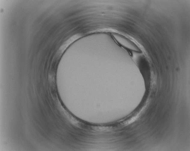 X0000082711281200702232246