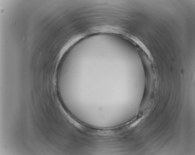 X0000082711285200702232246