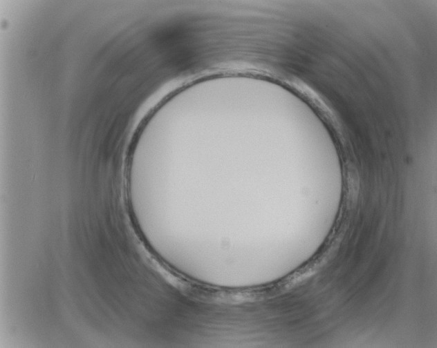 X0000082711286200702232246