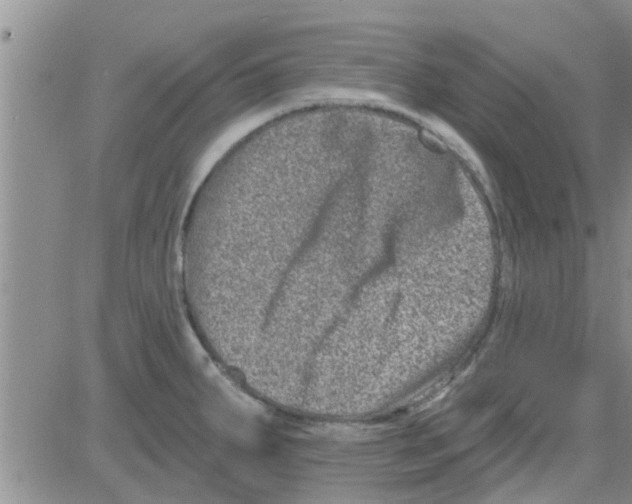 X0000082711287200702232246