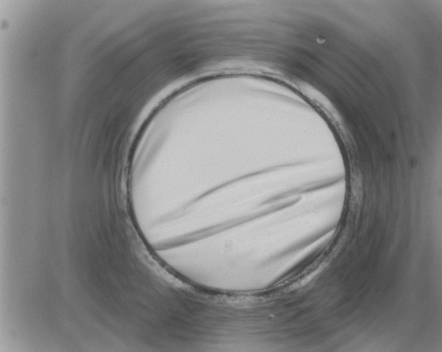 X0000082711288200702232246