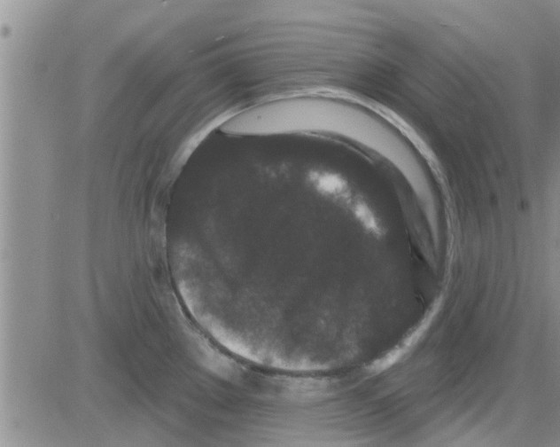 X0000082711289200702232246