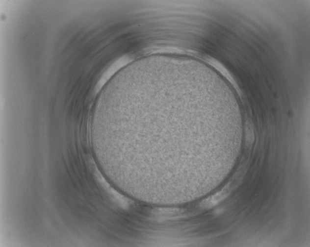 X0000082711290200702232246