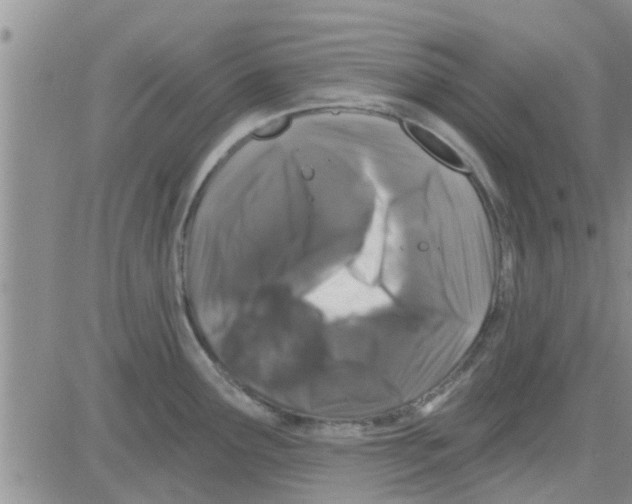 X0000082711291200702232246