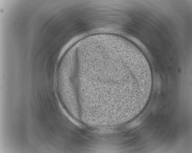 X0000082711294200702232246