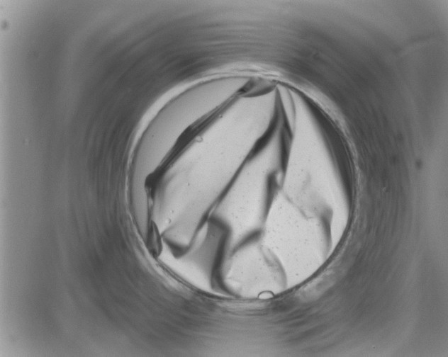 X0000082711296200702232246