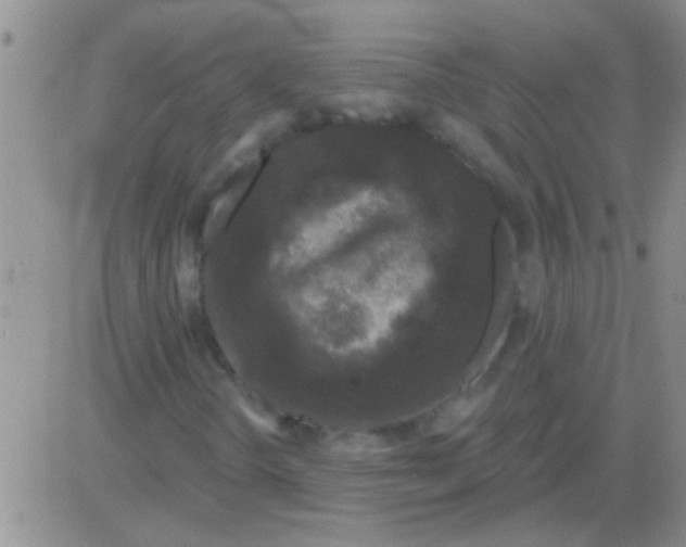 X0000082711298200702232245