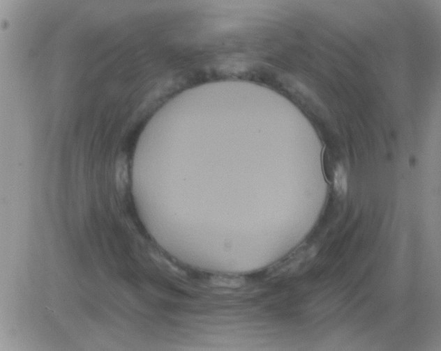 X0000082711299200702232245