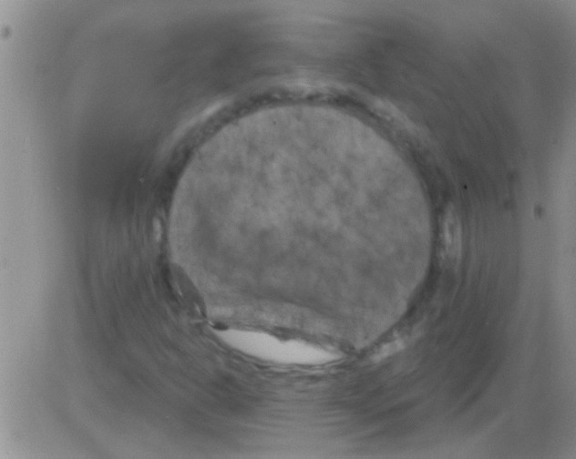 X0000082711302200702232245