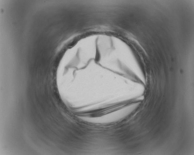 X0000082711304200702232245