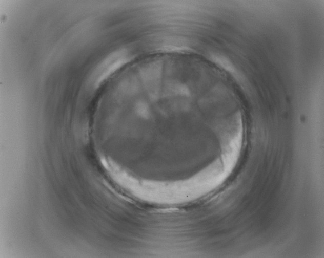 X0000082711306200702232245