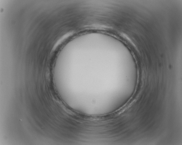 X0000082711307200702232245