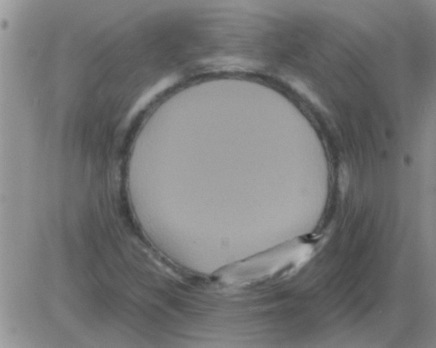 X0000082711309200702232246