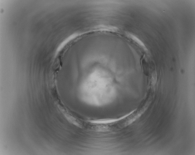 X0000082711310200702232246