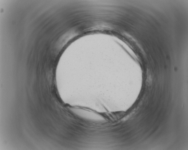 X0000082711313200702232246