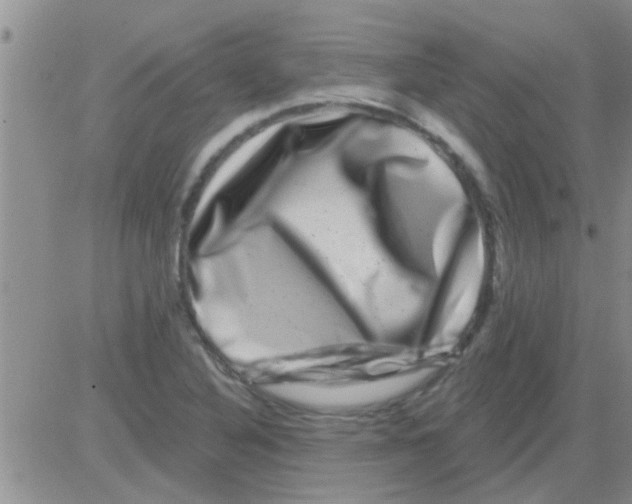 X0000082711316200702232246