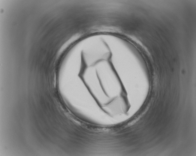 X0000082711317200702232246