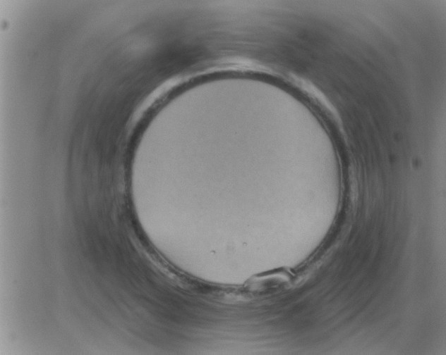 X0000082711318200702232246