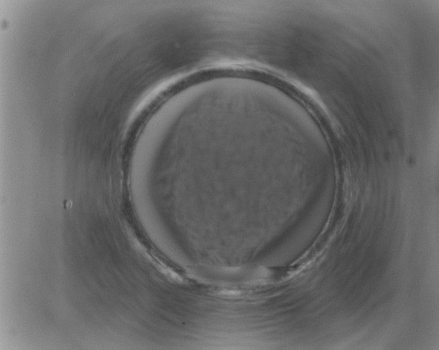 X0000082711319200702232246