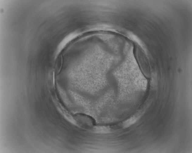 X0000082711320200702232246