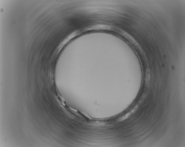 X0000082711321200702232246