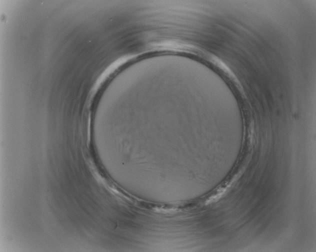 X0000082711323200702232246