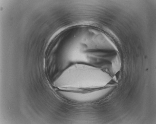 X0000082711324200702232246