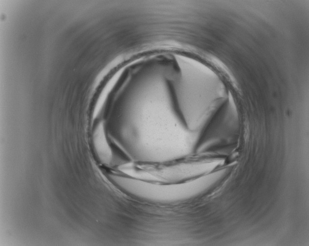 X0000082711326200702232246