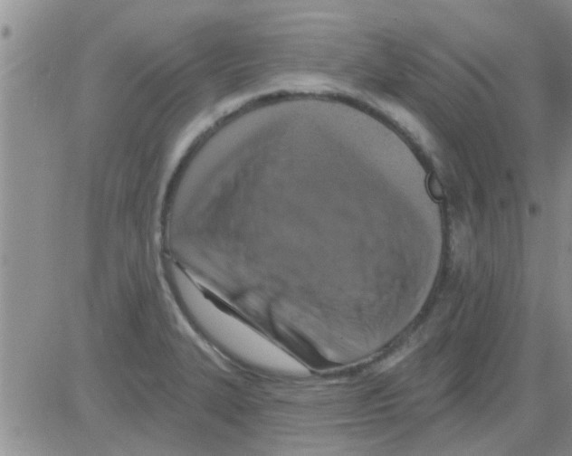 X0000082711327200702232246