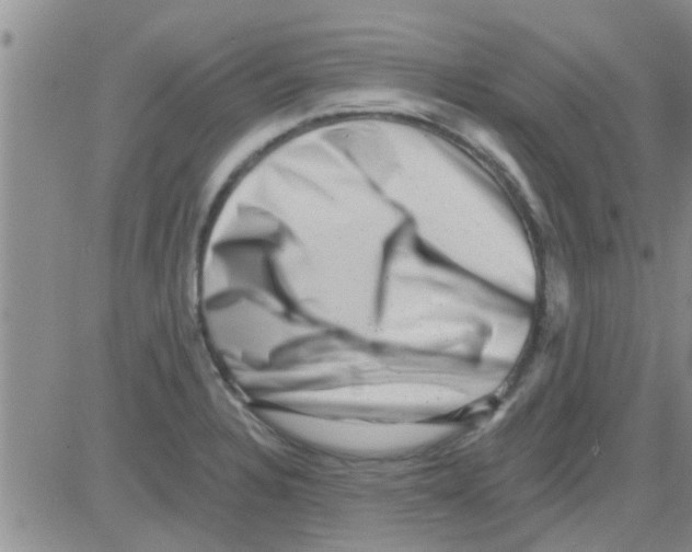 X0000082711328200702232246