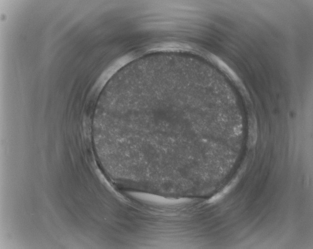 X0000082711329200702232246