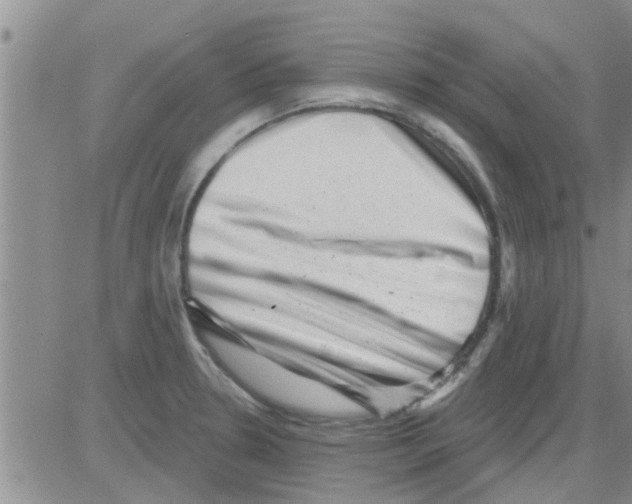 X0000082711330200702232246