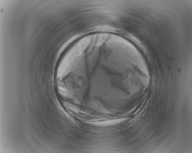 X0000082711331200702232246