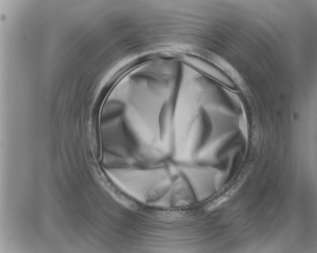 X0000082711332200702232246