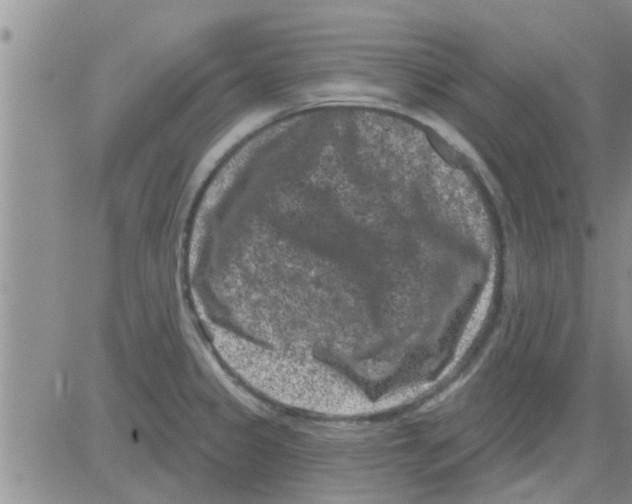 X0000082711333200702232246